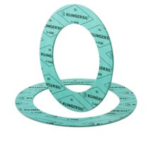 10" ANSI RING FACE JOINT