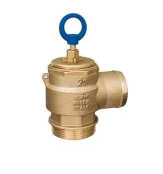 2" BRASS PRESSURE VENT